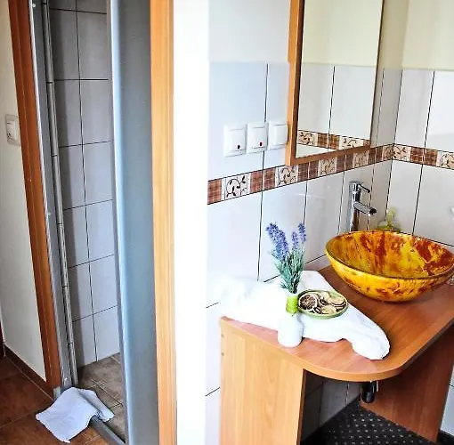 Osrodek Uslug Hotelarskich Kinga בית הארחה 3*