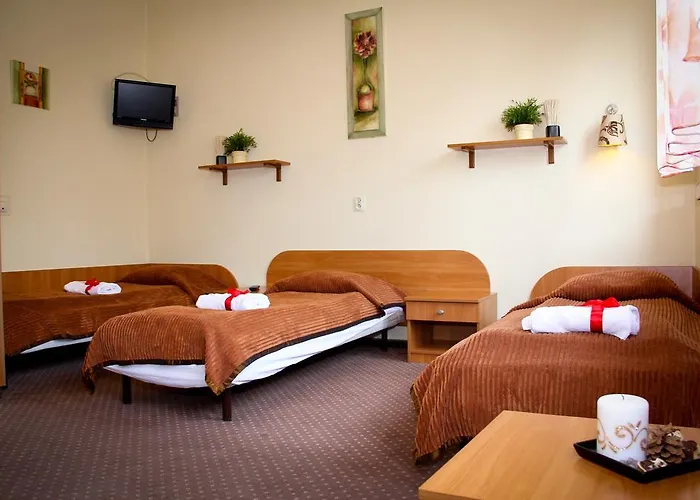 Osrodek Uslug Hotelarskich Kinga בית הארחה וייליצקה