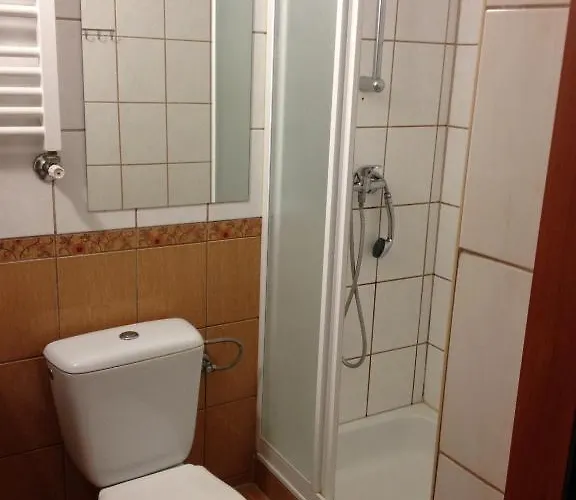 Osrodek Uslug Hotelarskich Kinga בית הארחה וייליצקה